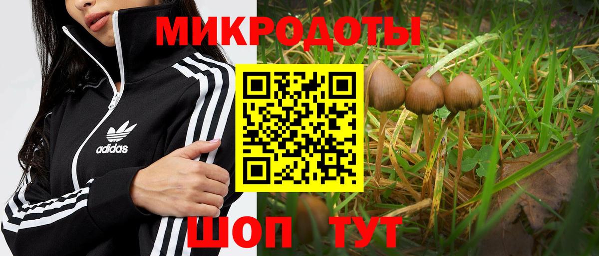 Галлюциногенные грибы Psilocybe  Галлюциногенные грибы мицелий  Вход с VPN  Туапсе 